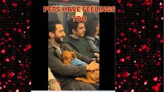Animals With BIG Feelings: Moments That Melt Your Heart