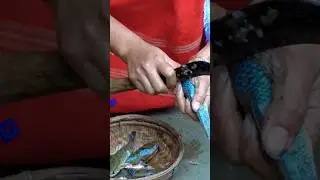 goroi kawoi hingora #amargaon #assam #villagelifestyle #ethnicfood #villagecooking #youtubeshorts