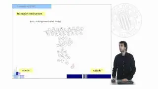 Transport in PEMFC | 7/14 | UPV