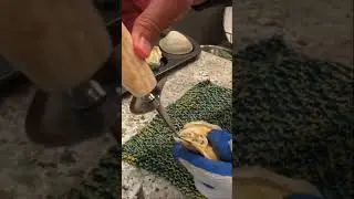 Easy Oyster and Clam Prep Raw or Cooked