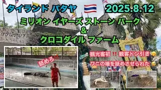 2025.8.12 🇹🇭 #タイ #パタヤ #動物園 #ホワイトタイガー #ライオン #ゾウ #クロコダイル #ワニ #キリン #馬 #鳥 #thailand #pattaya #zoo