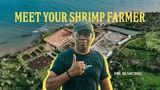 Meet Your Shrimp Farmer: Mr. Buwono