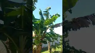 Huerto urbano 2026.