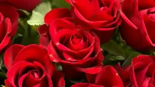 Mere Dil Mein Rehte Ho [Full Song] (HD) - Miss 420