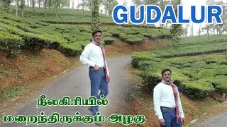 GUDALUR | MUDUMALAI | GUDALUR NEEDLE ROCK VIEW| OOTY TOURIST PLACE | PANDALUR | NILGIRI TOURISTPLACE