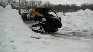 ASV PT100 with 101