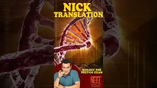 Nick Translation l Genetic Engeneering l Biology for NEET-UG EXAM l #biology #neet #science #short