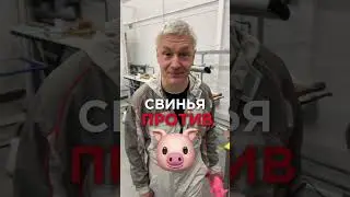 Какой абразив выбрать для шлифование шпатлевки?🤔 Абразивы P180 и P240 #автомаляр #авто #shorts