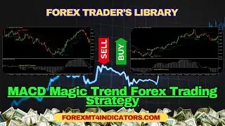 MACD Magic Trend Forex Trading Strategy