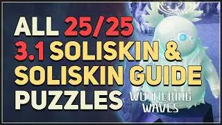All 3.1 Soliskin & Soliskin Guide Wuthering Waves