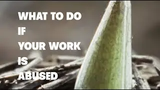 What to Do if Your Work is Abused
