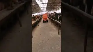 goat farm trolley#sheepherder