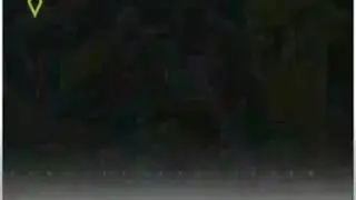Ipl dj status video 2020