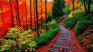 Autumn Tranquility 🍁 Soft Piano for Anxiety Relief & Stress Healing