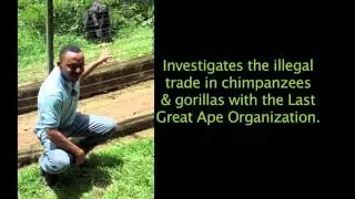 GRASP Ian Redmond Awards 2013 | Great Apes Summit
