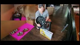 Elevated Dog Bowls, Raised Dog Bowl with 1 Slow Feeder Dog Bowl