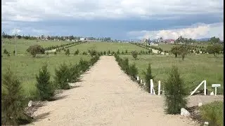 Victory Gardens phase 4, another super value added project by Optiven