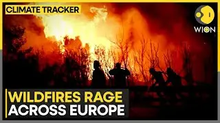 Europe Wildfires: Flames Go OUT OF CONTROL In Southern Europe! | WION Climate Tracker