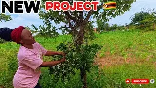 Finally Starting Our Village Fence Project 🇿🇼💪🏼