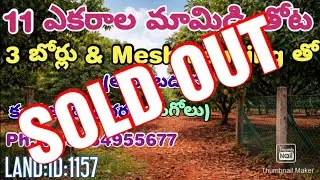 11 ACRES MANGO FARM LAND FOR SALE. PRAKASAM DT. KANDUKUR (AP). LAND:ID:1157.PH. NO. 8464955677