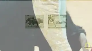 VIRTUAL CREATIVE FACTORY - DEATH IN THE AFTERNOON.