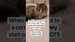 When women get to a certain age.. #catvideos #cat #prettycat #kitten #catlover #funnycat