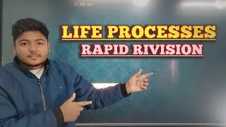 LIFE PROCESSES respiration life process class 10 biology