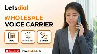 Wholesale Voice Carrier: Unveiling the Symphony of Connectivity.