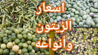 موسم الزيتون🌿🌱 بأنواعه🌿 واسعاره🎉 من سوق كفر البدماص بالمنصورة 👍