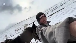 Чабанды Түлкү шарт этип койду😅