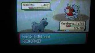 Pokemon Sapphire Poochyena Only Run; Wallace