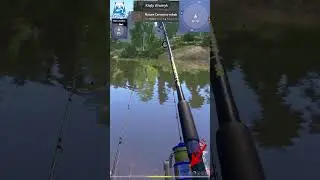 Blue Bream Siniec Winding Rivulet Kręty Strumyk #shorts #rf4 #spot #fish #russianfishing4
