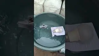Pages vs Water vs Bulb &ndash; What Happens Will Shock You!