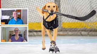Animals On Ice: Fun and Survival (Wild Chats Podcast) - Ep.13