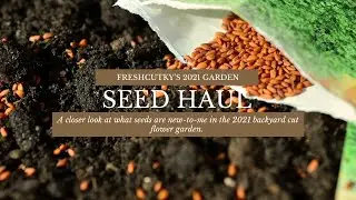 SEED HAUL: NEW FLOWERS FOR THE 2021 CUTTING GARDEN - Winter Sowing Cut Flowers for the Backyard
