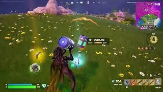 I&rsquo;m a medal gnome