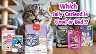 Which Cat Jelly Food Is Best || Jelly Cat Food Comparison || Cat Jelly Food Good Or Bad