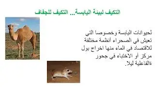 علم البيئة (درس 2) - وصف بيئات حياتيّة مختلقة وملاءمات عامة لها