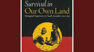 Survival in Our Own Land