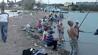 MOV00031