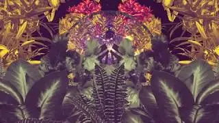 Toubab Krewe - Southern Tracks