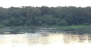 White Nile flows out of Lake Victoria at Jinja, Uganda
