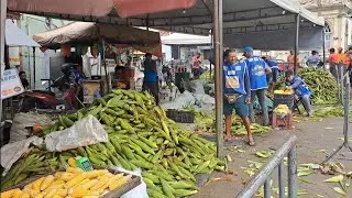 Preço  do milho em Vitória de Santo Antão