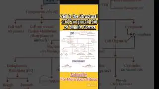 Cell #biology #fundamental unit of life#neetbiology #class11 #class9#exam #biologyrevision #revision