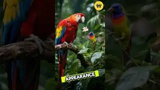 Top Ornithologist Reveals BEST Amazon Birding Techniques #wildlife #animals #birds #nature