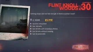 INTO THE DEAD 2 ELITE GAMEPLAY - #30 | CHAPTER 4 : LEVEL 30 FLINT KNOLL WOODS