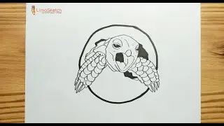 HOW TO DRAWING BABY TURTLE HATCHING FROM EGG