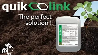 QUIK-LINK : BACK TO THE ROOTS !