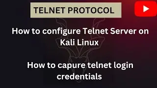 Сетевые протоколы &mdash; как установить Telnet на Kali и получить учетные данные для входа