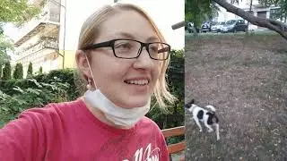 Shelter dog with OCD